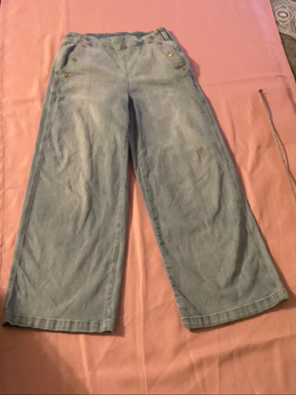 Lands' End Pale Blue Wide-Leg Denim Pants
